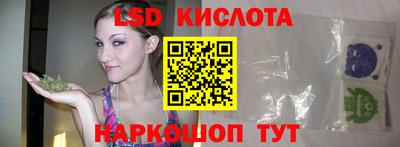 прущие крисы Кандалакша