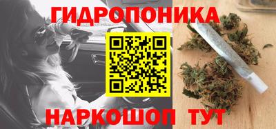 прущие грибы Канаш