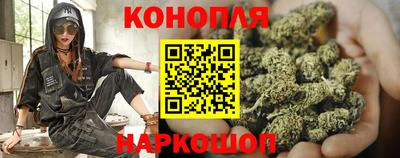 прущие крисы Кандалакша