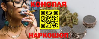 гашик Камышлов