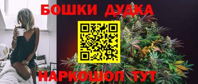 гашик Камышлов