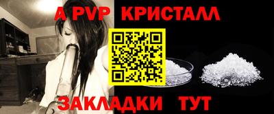 гашик Камышлов