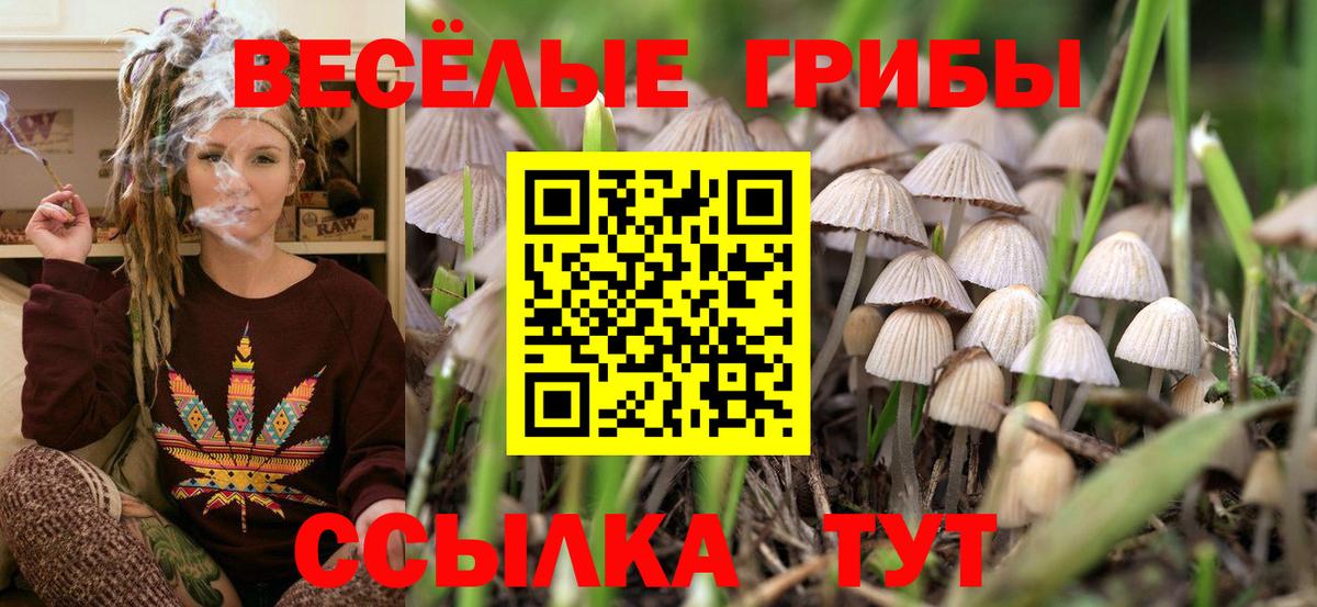 Краснознаменск  Псилоцибиновые грибы Psilocybine cubensis  Псилоцибиновые грибы Psilocybine cubensis  Вход с VPN 