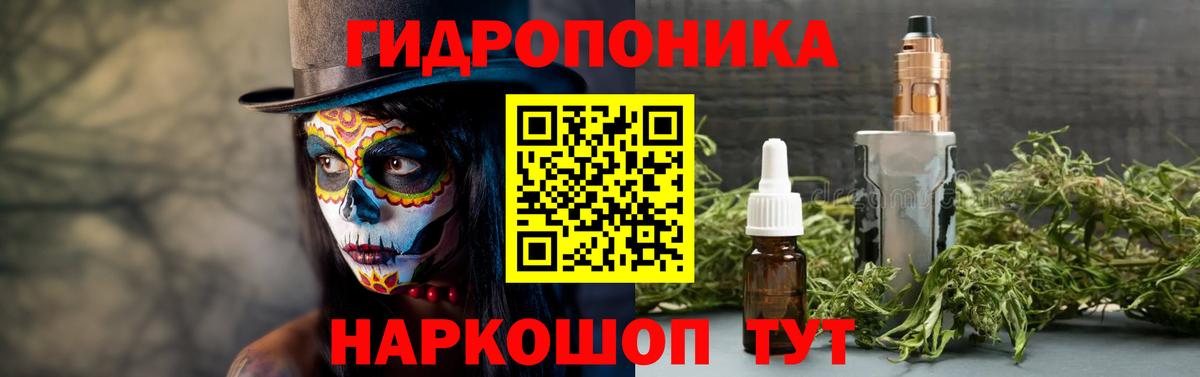 Каннабис сатива Краснознаменск